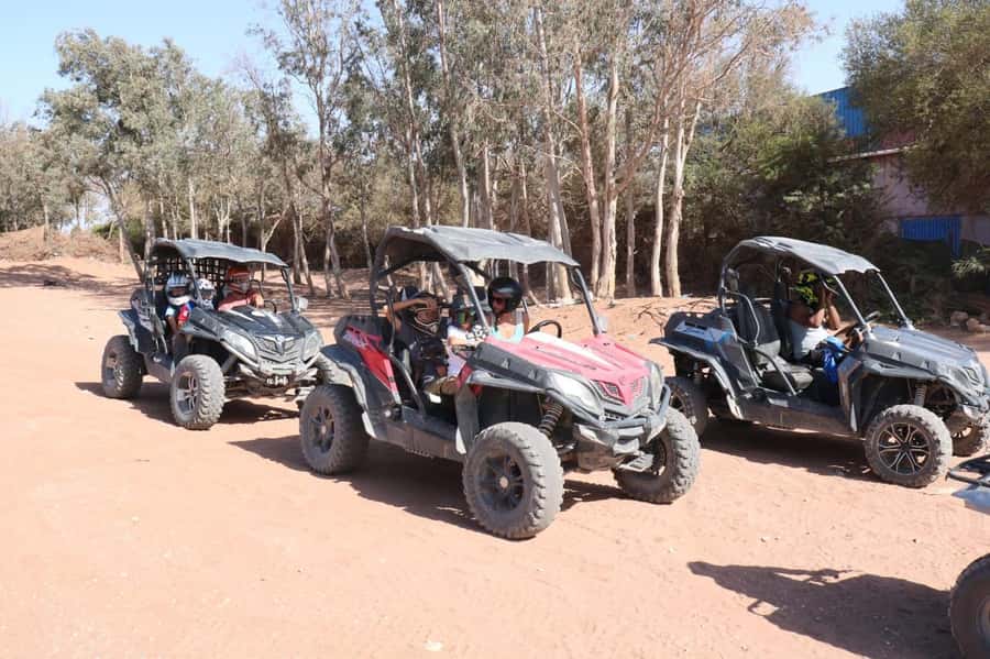 Agadir: Buggy Adventure with Hotel Transfers - Forest tracks add a quieter change of pace