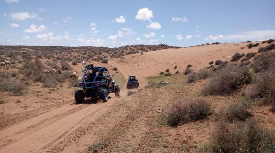 Agadir: Buggy Safari Adventure - Who will enjoy this buggy safari most?