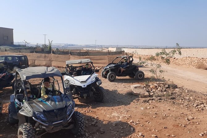 Agadir: Buggy Safari Adventure - Forest tracks and rocky ground set the pace
