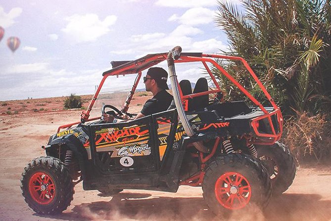 Agadir Buggy safari / off road Experience Half Day | Adventure & Connections ® - Argan trees, forest, and a Berber village stop