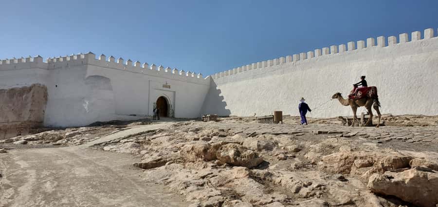 Agadir: Cable Car Ticket and Guided City Tour - What the $47 price really covers