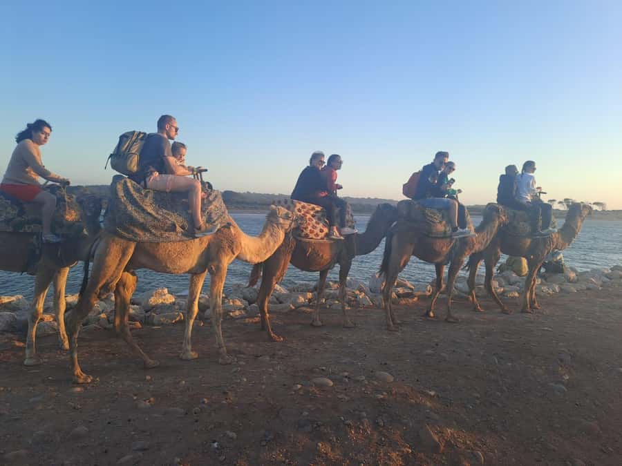 Agadir: Camel or Horse Ride + BBQ & Transfer Sunset Optional - What happens from hotel pickup to the riding area