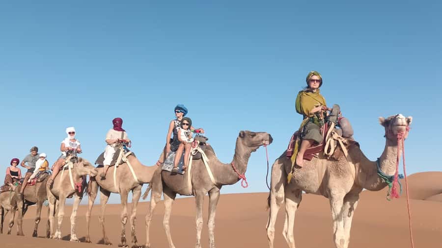 Agadir: Camel Ride Experience With Dinner Option - Who will get the most from this two-hour outing