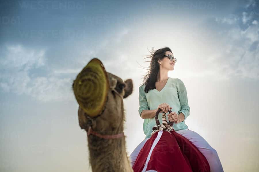 Agadir: Camel Ride Experience With Dinner Option - Practical value, timing, and cancellation