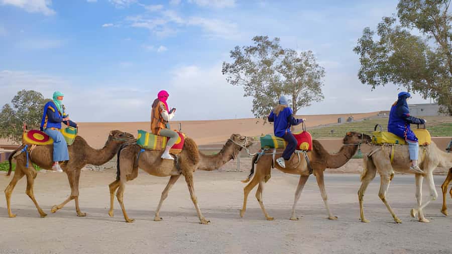 Agadir: Camel Ride Experience With Dinner Option - What the camel ride itself feels like
