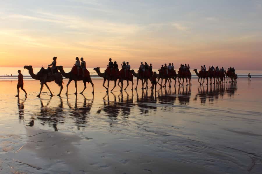 Agadir: Camel Ride With Tea - What the two-hour Agadir camel ride is really like