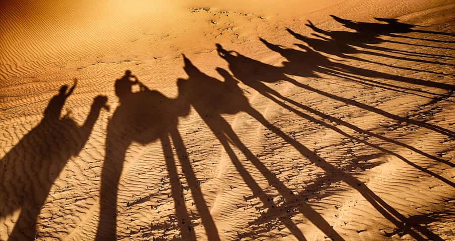 Agadir: Camel Ride With Tea - Riding beside the Souss River