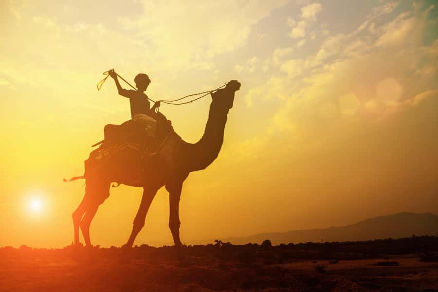 Agadir: Camel Ride With Tea - The royal palace viewpoint