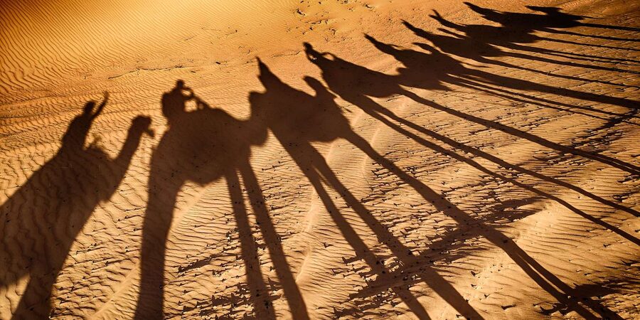Agadir: Camel Ride With Tea - Booking, cancellation, and timing