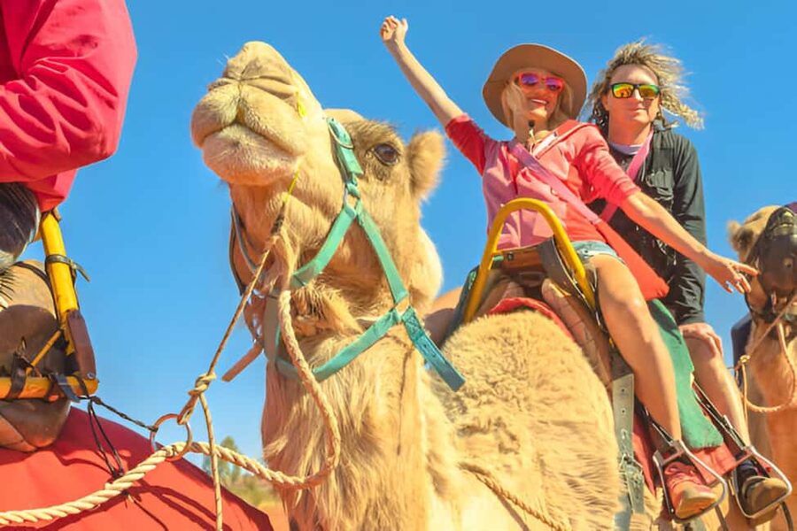 Agadir: Camel Ride With Tea & BBQ Dinner Option - Key points to know before you book