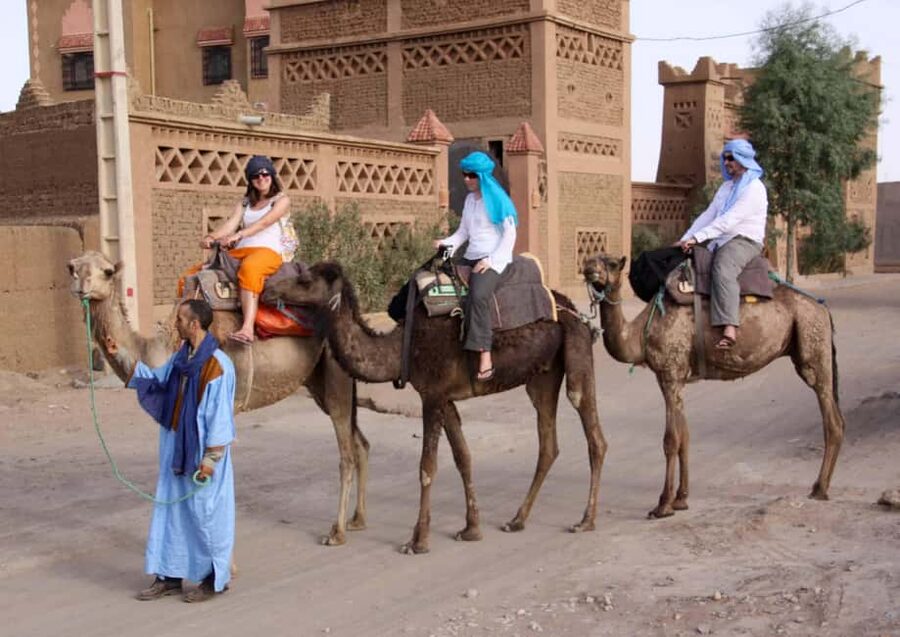 Agadir: Camel Ride With Tea & BBQ Dinner Option - From Agadir hotel pickup to the camel ranch