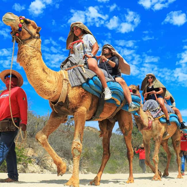 Agadir: Camel Ride With Tea & BBQ Dinner Option - What the route is really like