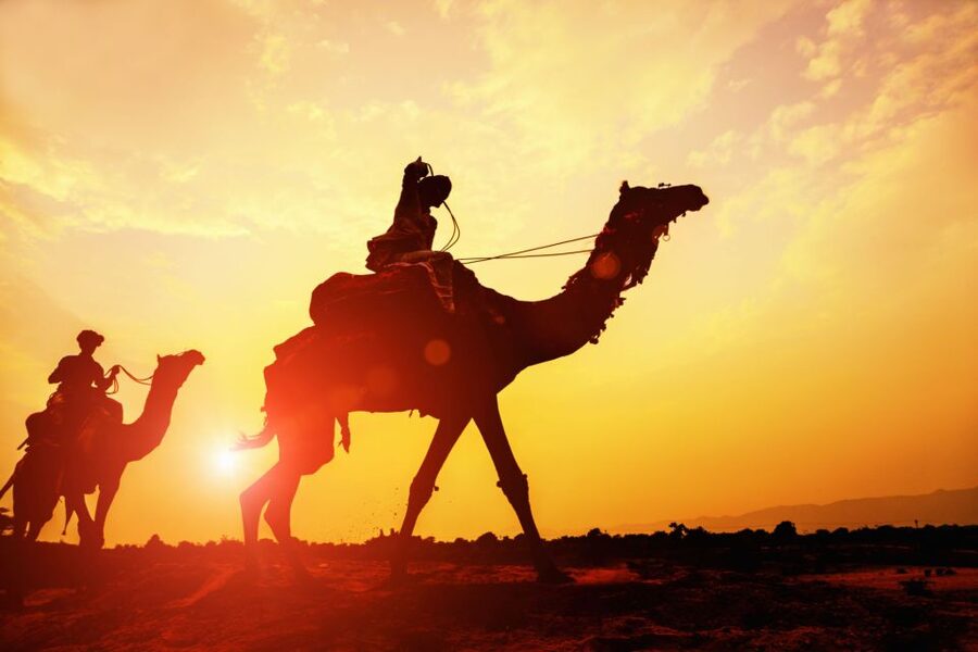 Agadir: Camel Ride With Tea & BBQ Dinner Option - Mint tea in a traditional setting