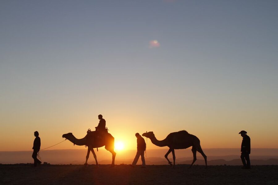 Agadir: Camel Ride With Tea & BBQ Dinner Option - Is the ride comfortable for children and older adults?