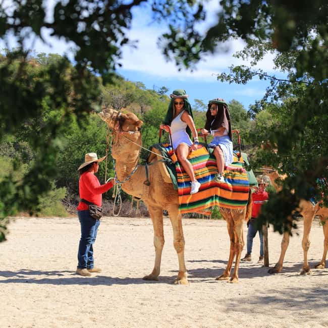 Agadir: Camel Ride With Tea & BBQ Dinner Option - Choosing your camel and setting off