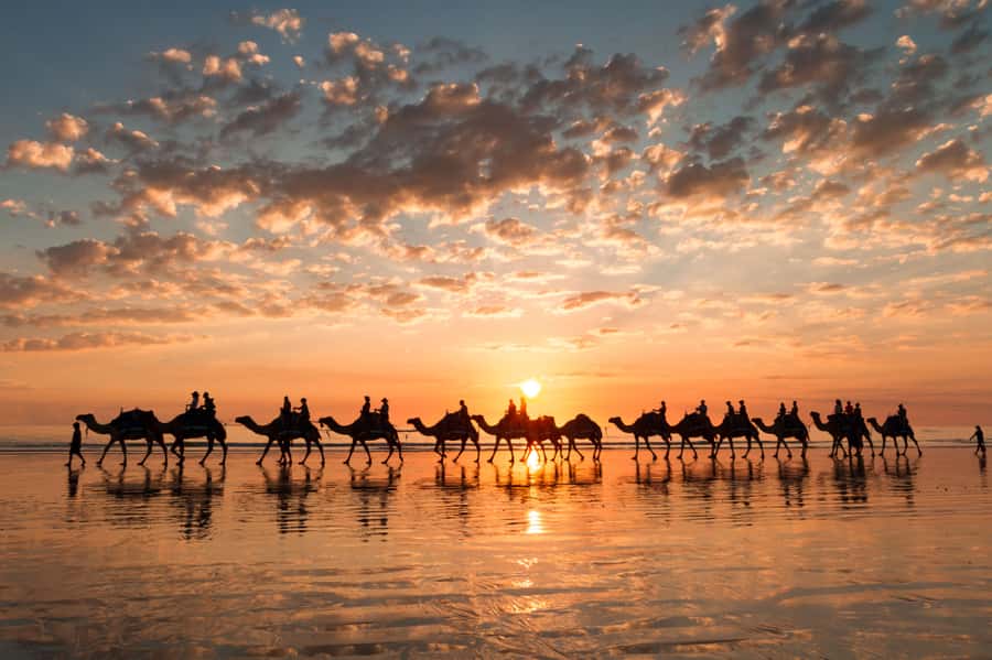 Agadir: Camel Ride With Tea - Choosing your camel at the ranch