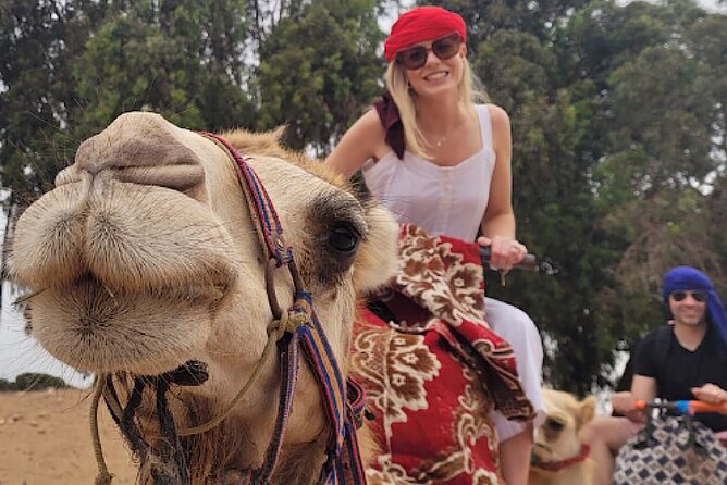 Agadir Camel Rides with Tea Drink & cakes - Key points before you book