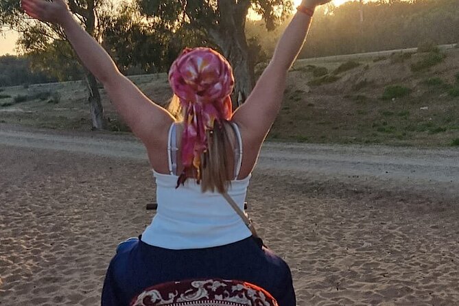 Agadir Camel Rides with Tea Drink & cakes - Riding toward the river and eucalyptus trees
