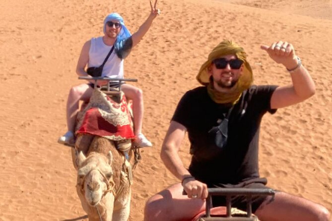 Agadir Camel Rides with Tea Drink & cakes - The river, wildlife, and flamingo views
