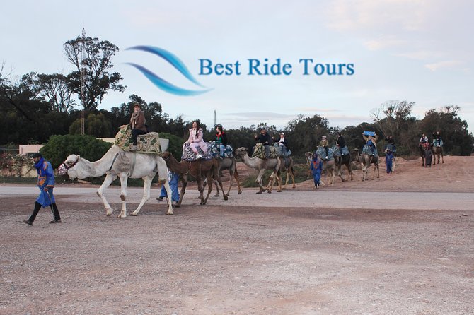 Agadir Camel Riding - From eucalyptus trees to open sand