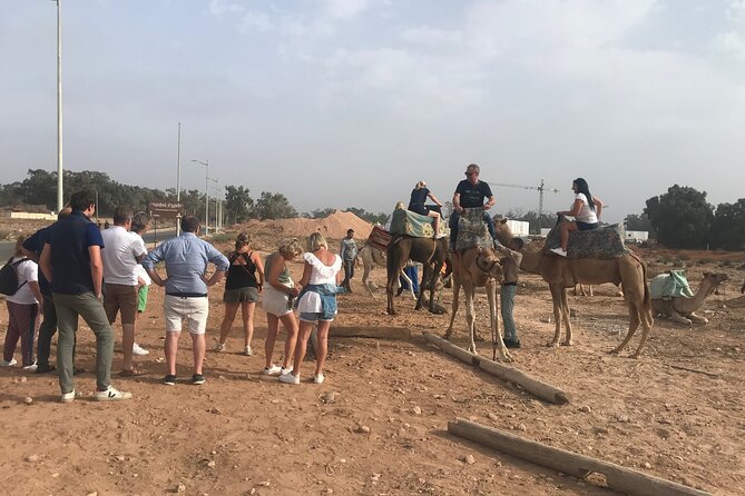 Agadir Camel Riding - What the guides add to the experience