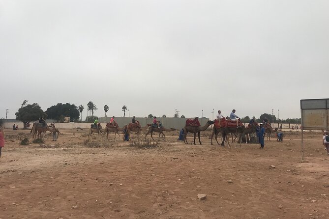 Agadir Camel Riding - Is $23.26 good value?