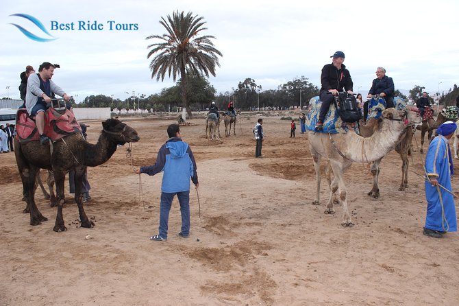 Agadir Camel Riding - Who will enjoy this Agadir camel ride?
