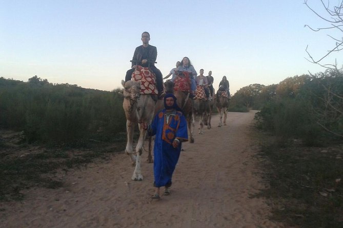 Agadir Camel Riding +Sunset and Dinner( barbecue) - What you see between the eucalyptus forest and the estuary