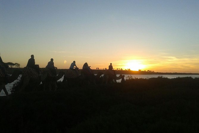Agadir Camel Riding +Sunset and Dinner( barbecue) - Who will enjoy this Agadir camel ride?