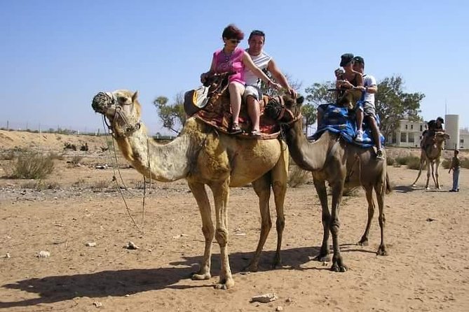 Agadir Camel Riding +Sunset and Dinner( barbecue) - Practical tips for a better evening