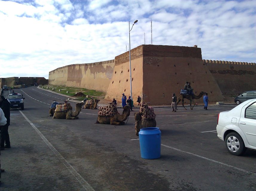 Agadir : City Sightseeing Tour - Key points to know before booking