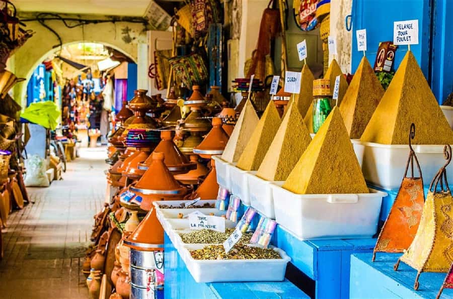 Agadir City Tour & Crocodile Park Adventure & Entry Ticket - Transport, timing, and what to bring
