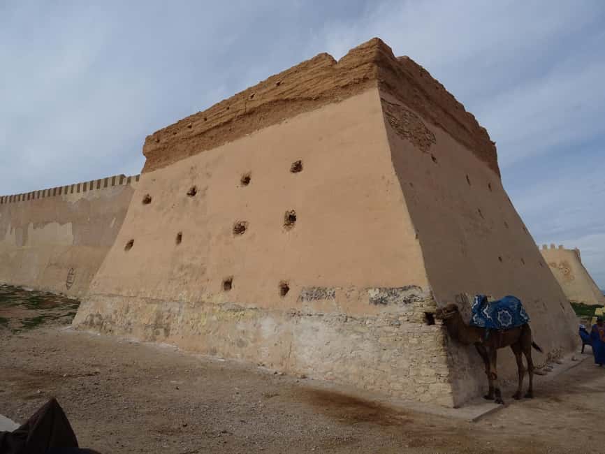 Agadir City Tour + Kasbah + Souk Market - Practical advice for making the most of it