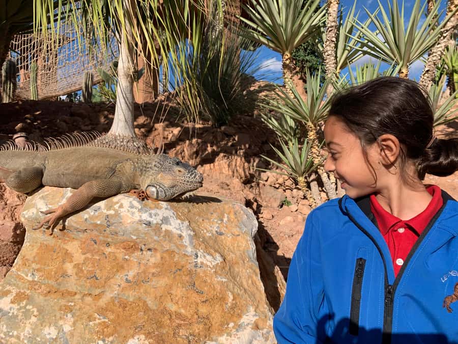 Agadir: Crocoparc Skip-the-Line Entry Ticket - Entering through the giant crocodile mouth