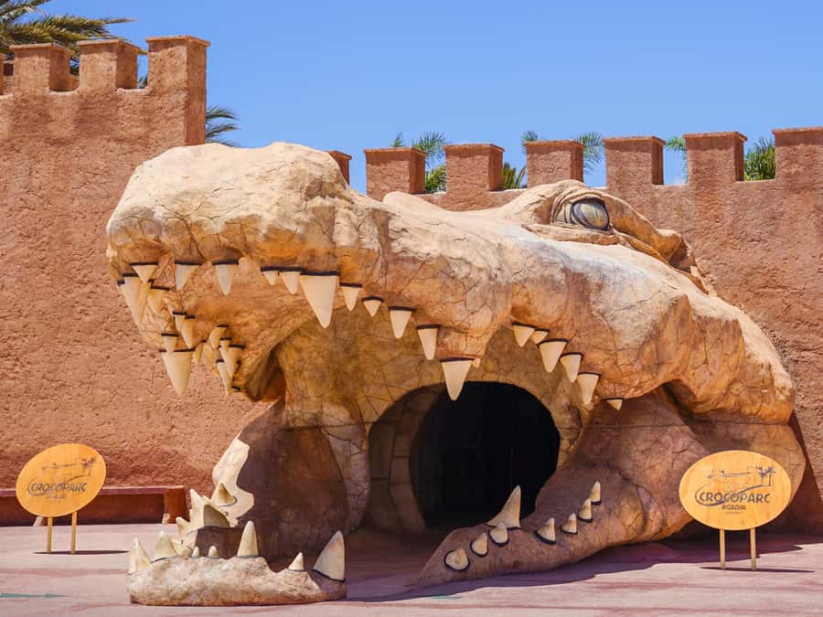 Agadir: Crocoparc Skip-the-Line Entry Ticket - Feeding time can shape your whole visit