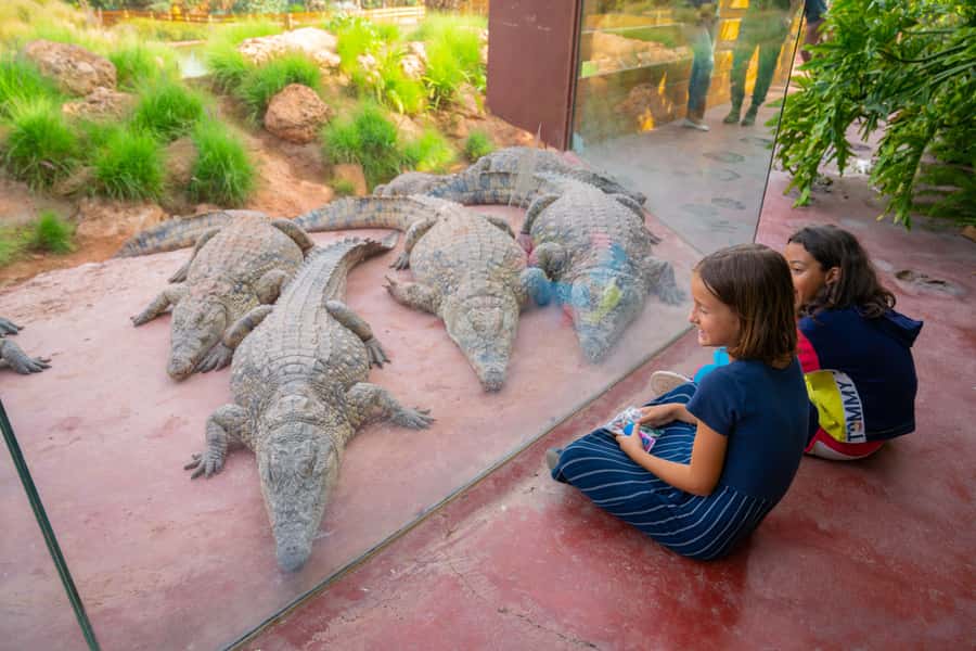 Agadir: Crocoparc Skip-the-Line Entry Ticket - Snakes, iguanas, tortoises, and monkeys add variety
