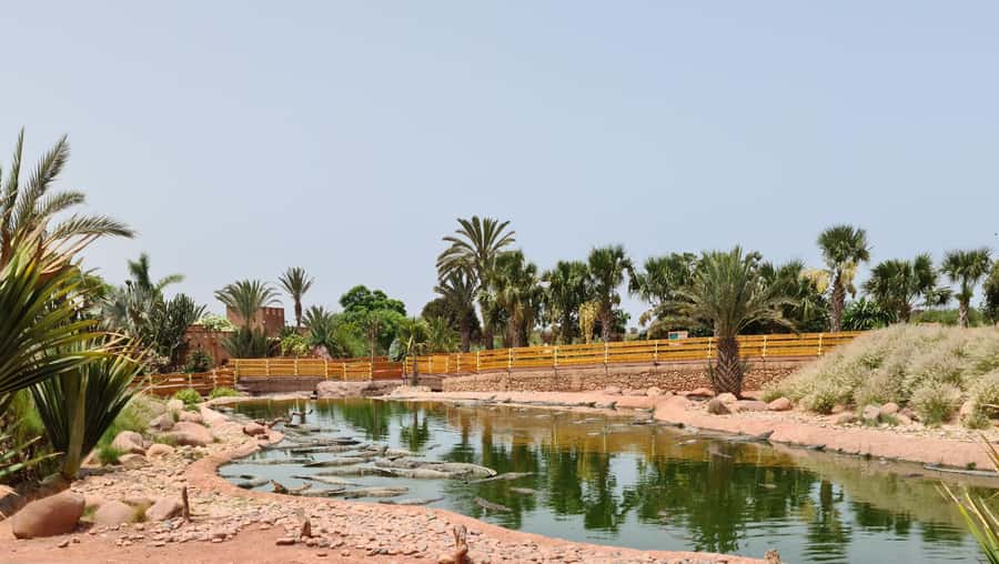 Agadir: Crocoparc Skip-the-Line Entry Ticket - The crocodile enclosures are the main event
