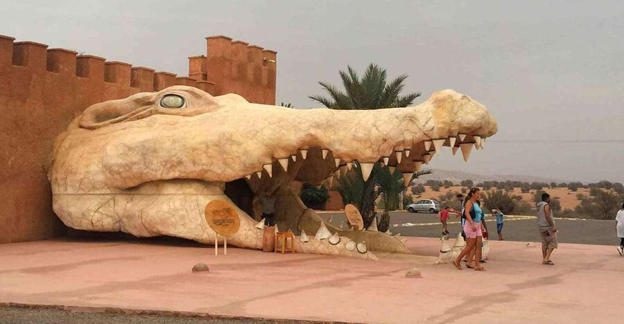 Agadir Crocoparc: Ticket and Transfer - Who will enjoy this outing most?
