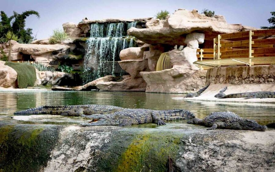 Agadir Crocoparc: Ticket and Transfer - The transfer from Agadir to the park