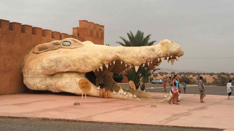 Agadir Crocoparc: Ticket and Transfer - Watching the Nile crocodiles safely