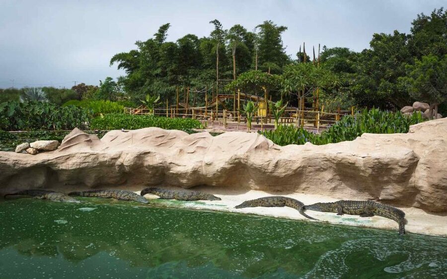 Agadir Crocoparc: Ticket and Transfer - Tropical plants and the family-friendly side