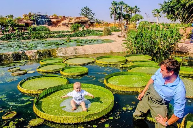 Agadir Crocoparc Transfer & Admission tickets - The ride from Agadir to Drarga