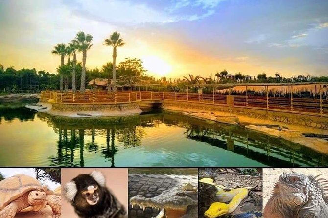 Agadir Crocoparc Transfer & Admission tickets - More than crocodiles: reptiles, monkeys, and garden life