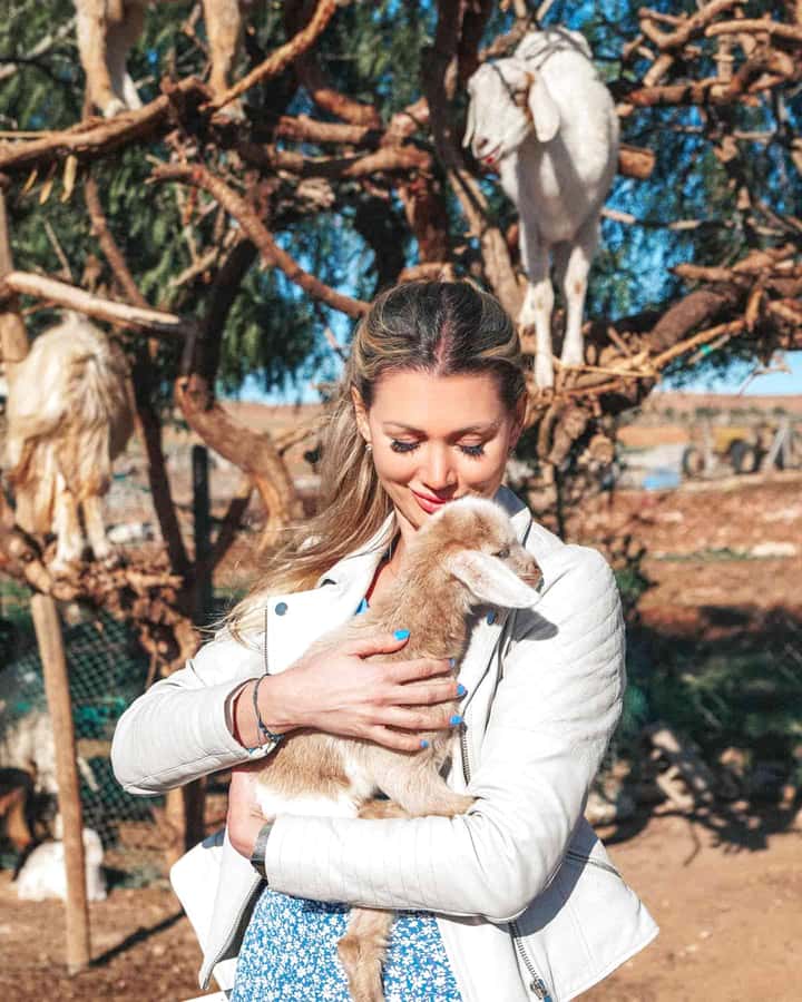 Agadir: Discover Argan Tree-Climbing Goats on a Morning Tour - Key points to know before booking
