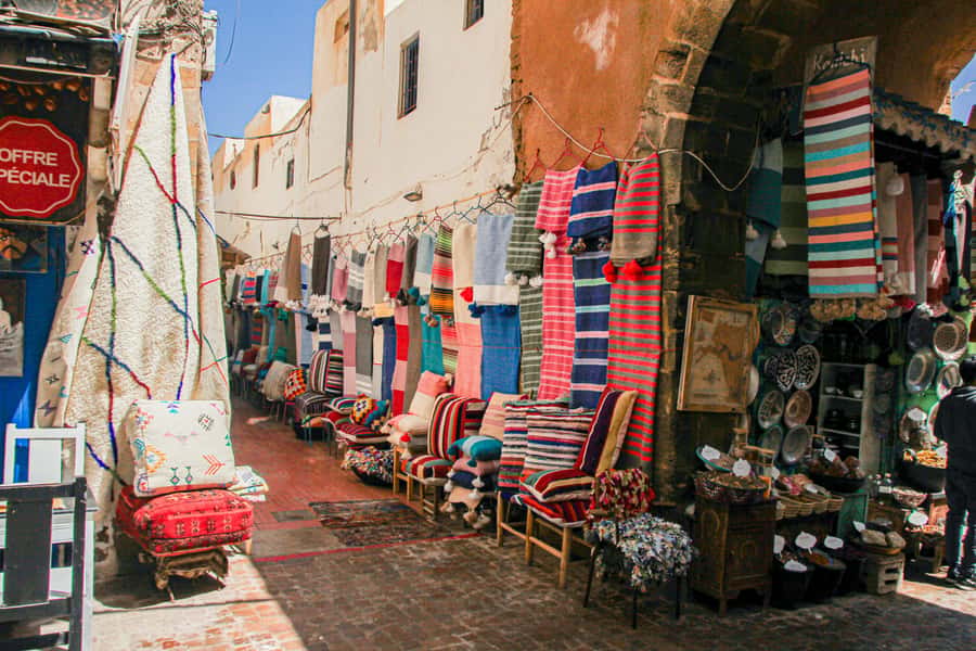 Agadir: Essaouira Guided Day Trip - Transport, comfort, and group size
