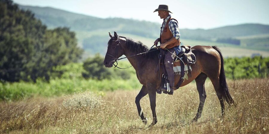 Agadir: Forest and Sand Dunes Guided Horse Riding - Key points to know before you ride