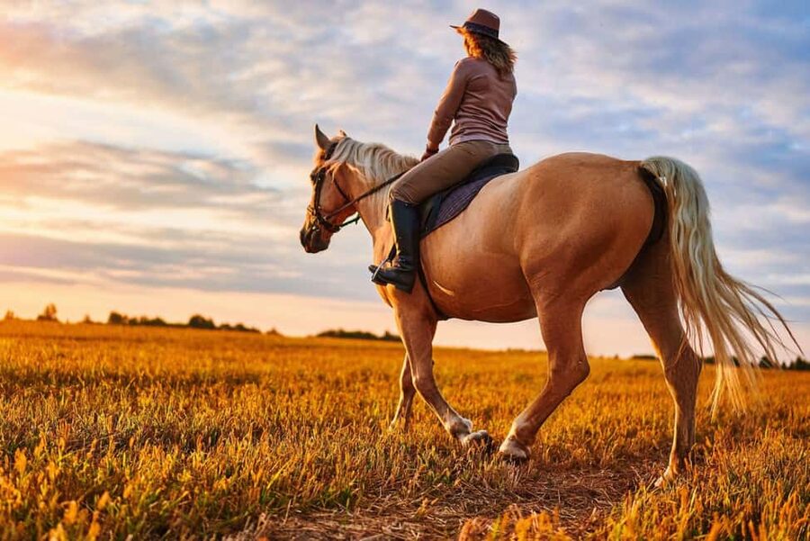 Agadir: Forest and Sand Dunes Guided Horse Riding - From Agadir hotel to the eucalyptus stables