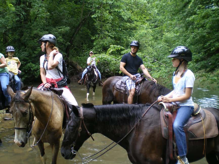 Agadir: Forest and Sand Dunes Guided Horse Riding - Safety, horse choice, and riding ability