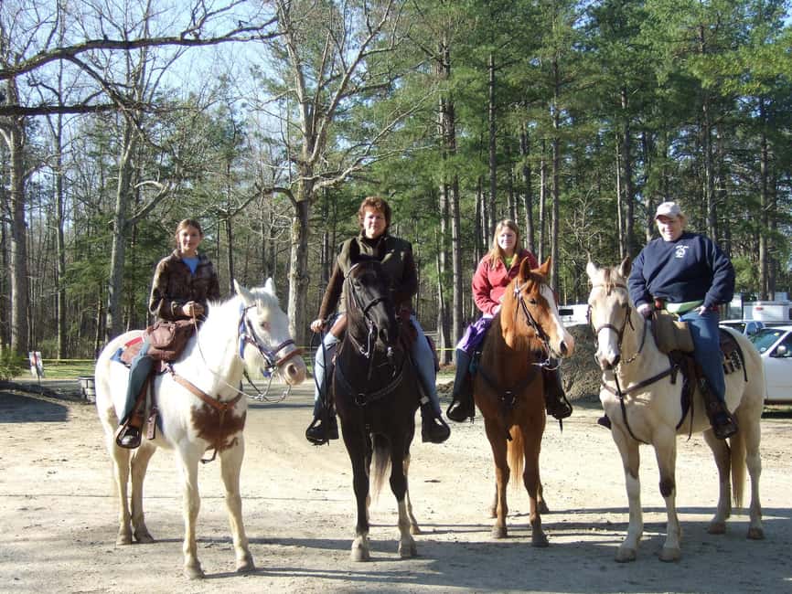 Agadir: Forest and Sand Dunes Guided Horse Riding - Tea, photos, and the return to Agadir