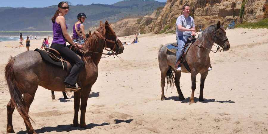 Agadir: Forest and Sand Dunes Guided Horse Riding - Should you book this Agadir horse ride?